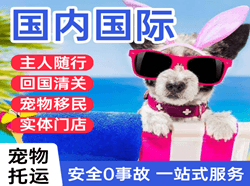 大连周水子国际宠物托运 【国